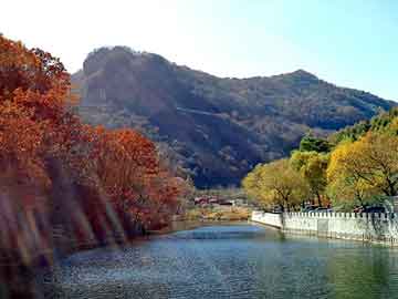 奥门天天开奖免费资料，深圳机场到罗湖口岸